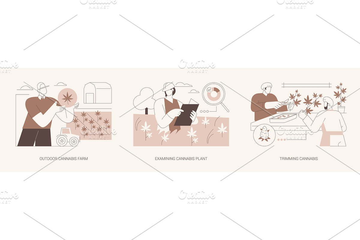 Commercial cannabis growing isolated, a Person Illustration by Visual Generation