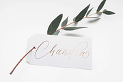 Sully Font Script, a Script Font by danti (Thumbnail 6 of 7)