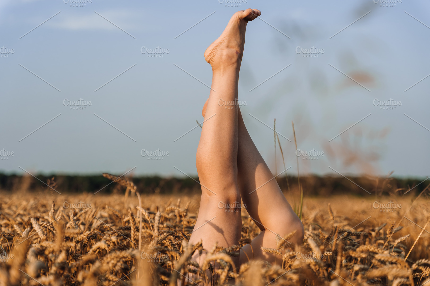 Female Legs Raised in Wheat Field Under Blue Sky, a Person Photo by Red Hot Chili Pepper Shop