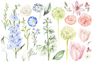 Hand Drawn Watercolor Wild Flowers