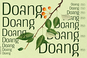 UT Doangs - An Ornament Display Font, a Sans Serif Font by Universitype (Thumbnail 15 of 15)