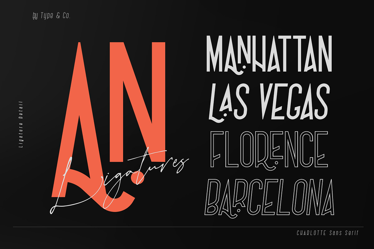Charlotte Signature Font Duo, a Script Font by Type and Co. (Photo 10 of 18)