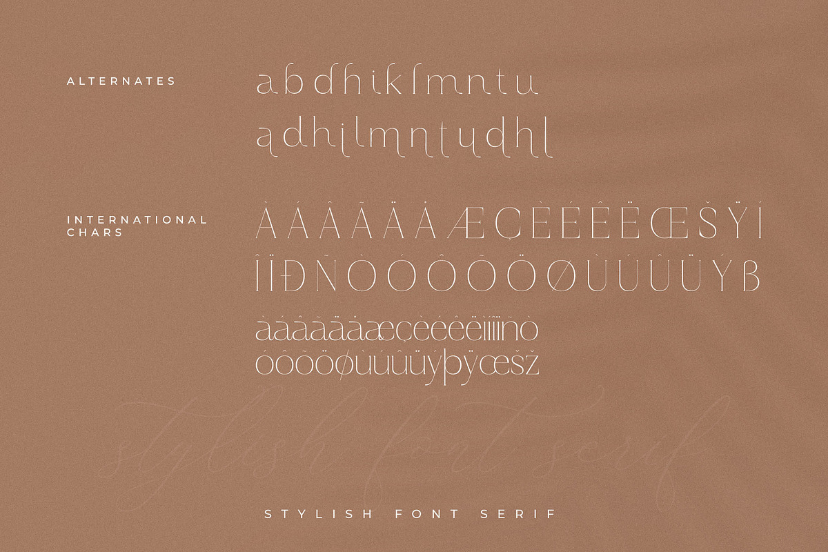 Haloyen Stylish Font Serif, a Serif Font by Storytype Studio (Photo 14 of 15)
