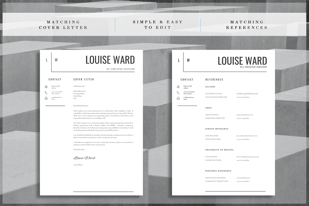 Professional Resume Template, a Resume Template by introDuice - CV / Resumes (Photo 4 of 6)