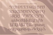 Hugolers Stylish Modern, a Serif Font by Typetemp Studio (Thumbnail 20 of 21)