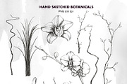 IKEBANA. Botanical Winter Kit., an Illustration by Pink Ocean (Thumbnail 12 of 16)