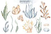 Undersea world Watercolor Part II, an Animal Illustration by Marina Ermakova (Thumbnail 5 of 13)