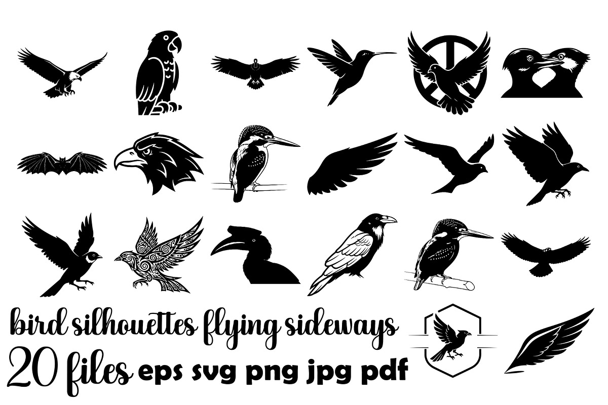 Bird Silhouettes Flying Sideways, an Animal Illustration by Designer_Momina (Photo 1 of 21)