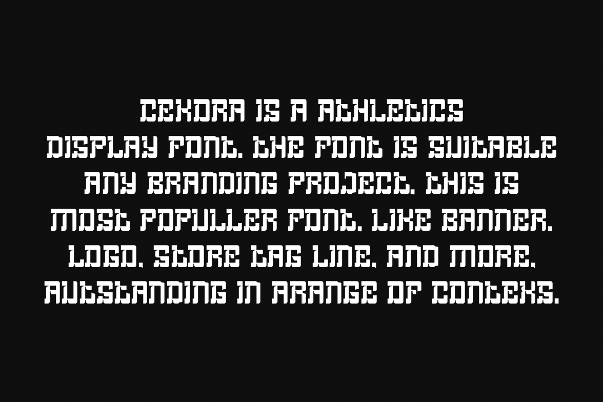 Cekora - Athletics Font, a Serif Font by QR Design Studio (Photo 4 of 6)