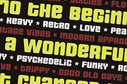 Nipok - Unicase Fancy Retro Display, a Font by Gravitype (Thumbnail 3 of 12)