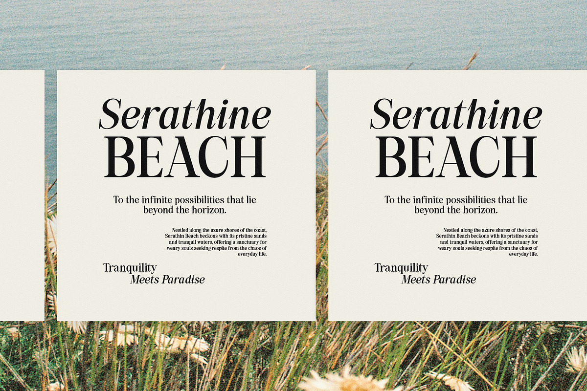 Back Bone Melavita Serif Family font, a Serif Font by Graphicxell (Photo 16 of 18)