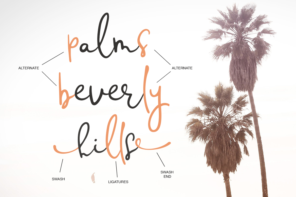 Marylowe, a Script Font by Larin Type Co. (Photo 3 of 6)