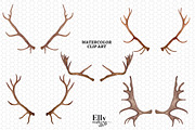 Watercolor Christmas Antler Clipart, a Decorative Illustration by Elly Studio (Thumbnail 6 of 7)
