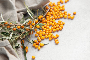 Sea buckthorn berries spilled on gray background, a Food & Drink Photo by Olena Rudo