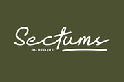 Sectro Minimalist Script, a Script Font by Artiveko (Thumbnail 5 of 8)