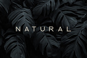 Ablation - Sans Serif Typeface, a Sans Serif Font by VP Fonts (Thumbnail 7 of 10)