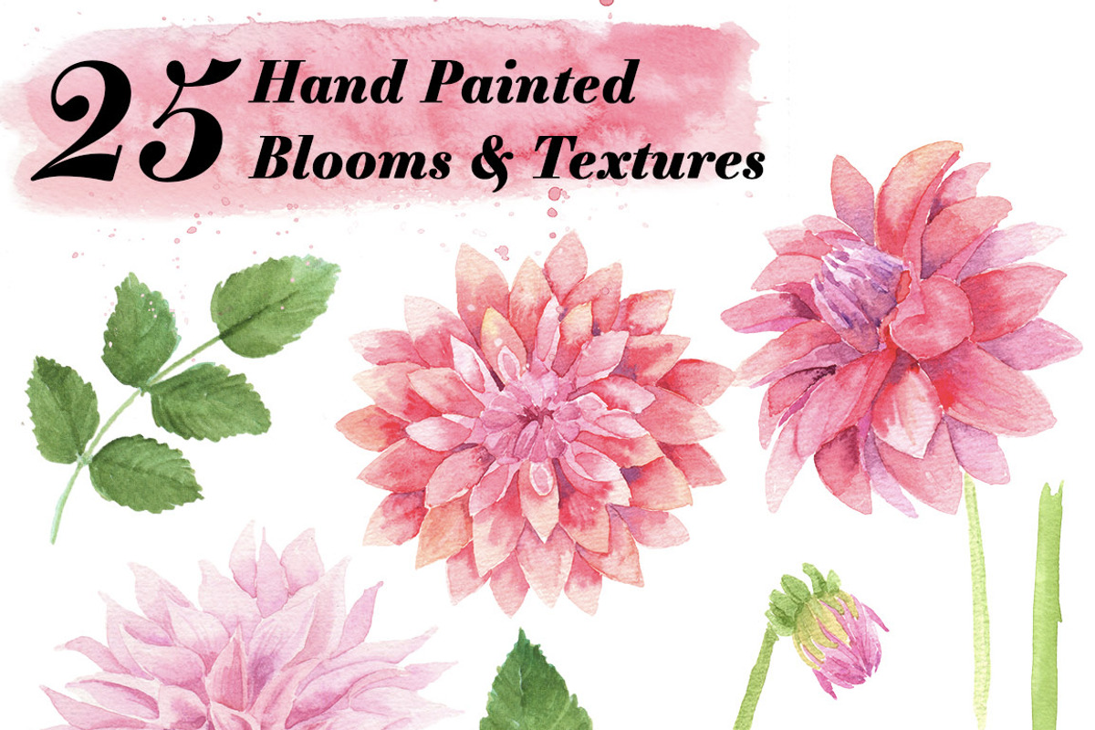 Watercolor Dahlia Kit, an Illustration by Instinct Design Co (Photo 2 of 2)