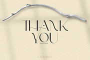 Cameron | Modern Sans Serif Font, a Sans Serif Font by Kandella's Art (Thumbnail 17 of 17)