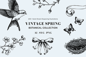 Vintage Spring Botanical Collection, a Seasonal Illustration by Yevheniia