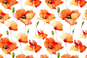 Watercolor Poppies.Flowers Set Bonus