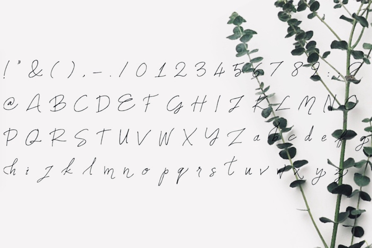 Names Font, a Script Font by dxxb studio (Photo 2 of 2)