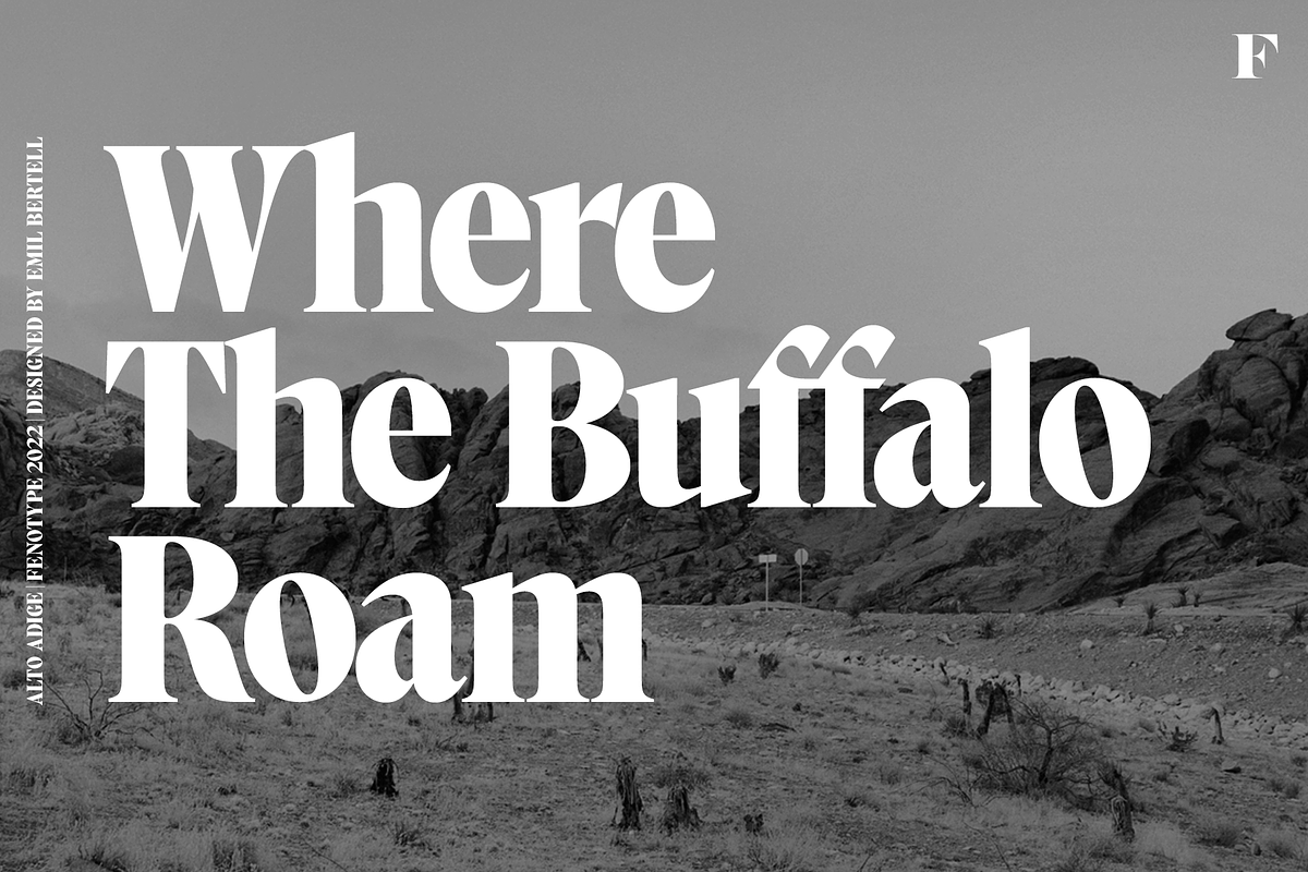 Alto Adige Serif Typeface, a Serif Font by Fenotype (Photo 4 of 14)
