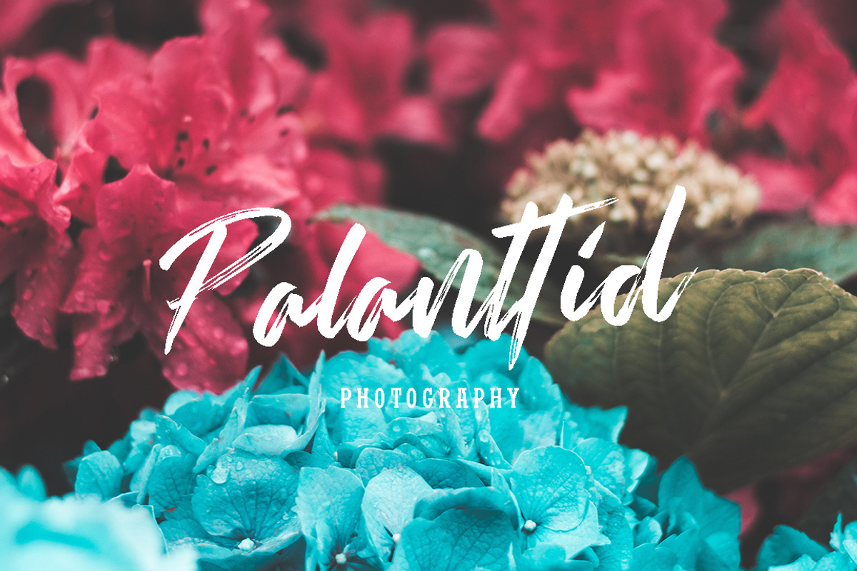 Rallifornia Brush Font preview 4