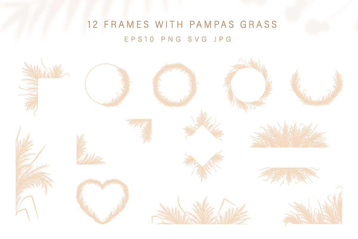 Pampas grass Frame collection, an Illustration by KeronnArt (Photo 2 of 2)