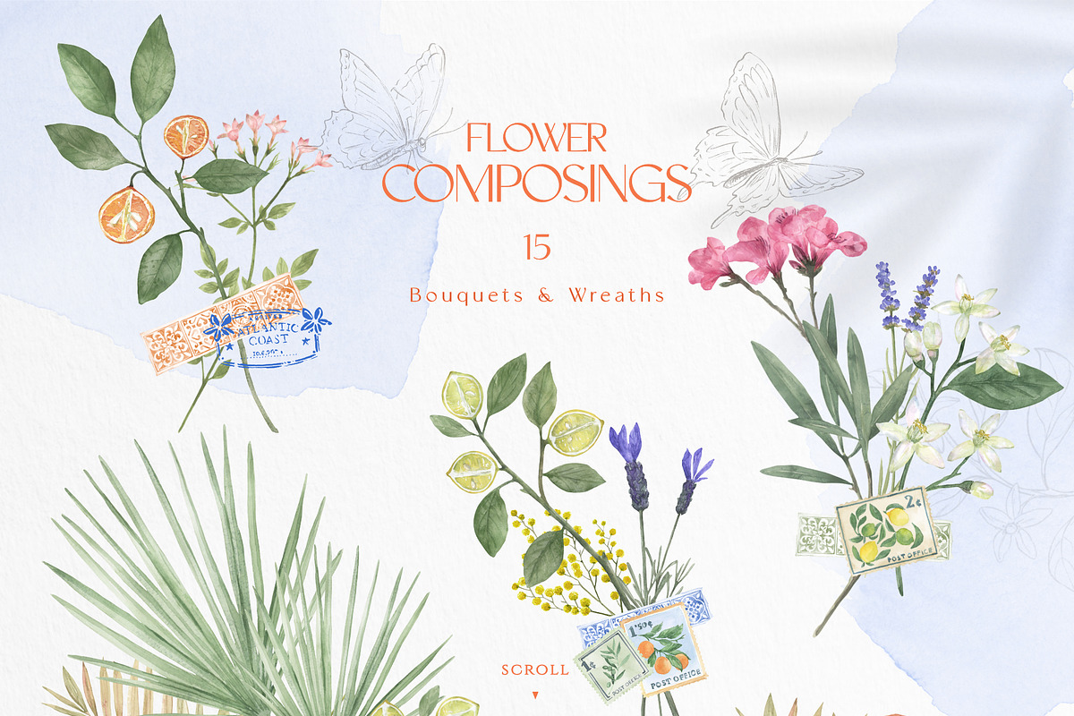 pressed-delicate-wild-meadow, a Decorative Illustration by beehouse studio (Photo 4 of 12)
