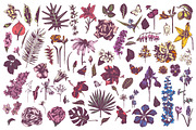 Hand drawn botanical bundle, an Illustration by handsketched (Thumbnail 11 of 24)