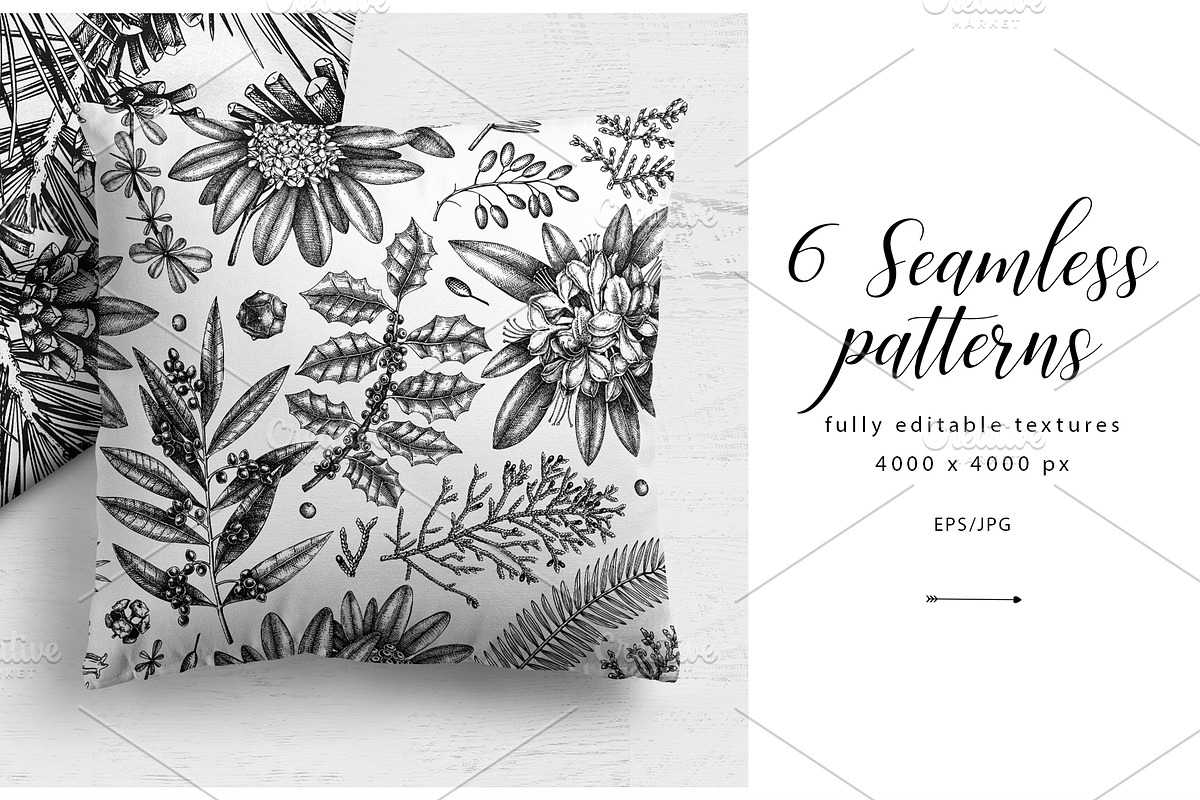 Winter Plants Set. Christmas Designs, a Seasonal Illustration by Yevheniia (Photo 10 of 13)