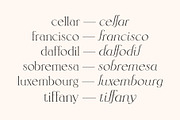 Sangarius // A Chic Serif Typeface, a Serif Font by Megs Lang (Thumbnail 8 of 15)