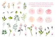 Watercolor Pink Roses Vector Set, a Decorative Illustration by FourLeafLover (Thumbnail 4 of 10)