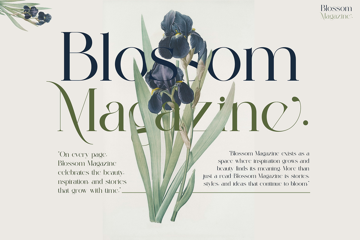 Malcine Modern Serif Typeface, a Serif Font by Alfinart (Photo 4 of 10)