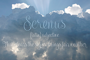 Serenus Condensed, a Script Font by Eurotypo (Thumbnail 3 of 5)