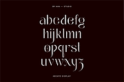 Hecate Display Font, a Serif Font by BY AVA — studio (Thumbnail 3 of 8)