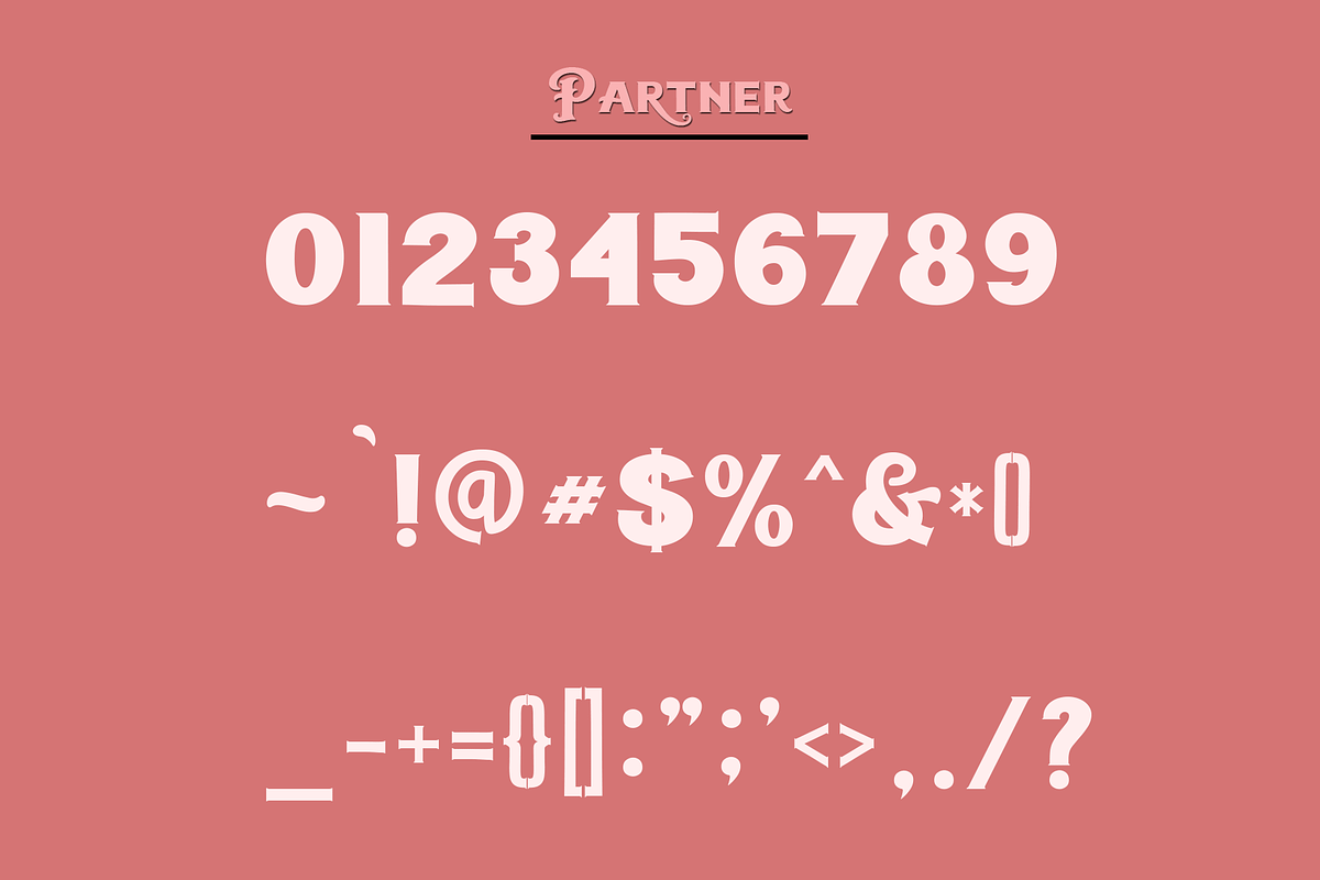 Partner | Serif, a Serif Font by Naqsya.Co (Photo 8 of 8)