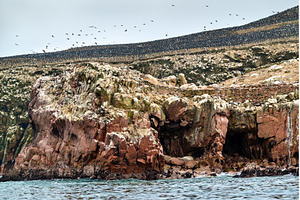 Landscape of the Ballestas Islands, a Nature Photo by Leonid Andronov