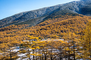 Autumn Landscape Photo Bundle Japan, a Nature Photo by Silent Nature (Thumbnail 4 of 6)