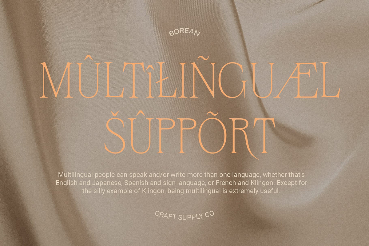 Bornean – Elegant Serif, a Serif Font by Craft Supply Co. (Photo 8 of 8)