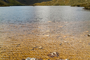 Cradle Mountain and Dove Lake, a Nature Photo by THP Creative