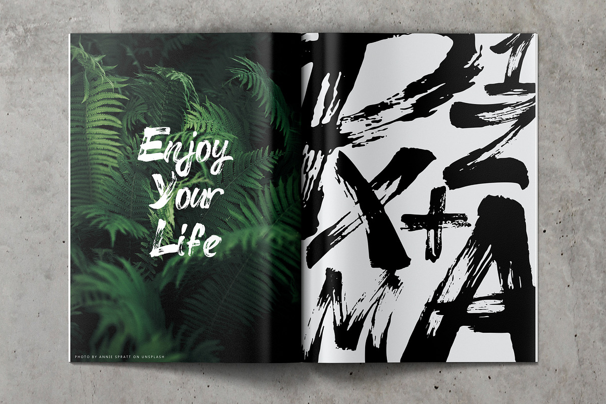 Shuher Brush Font preview 2