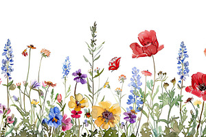 Flowers of England white background, a Photo by LOGOCREATIVE
