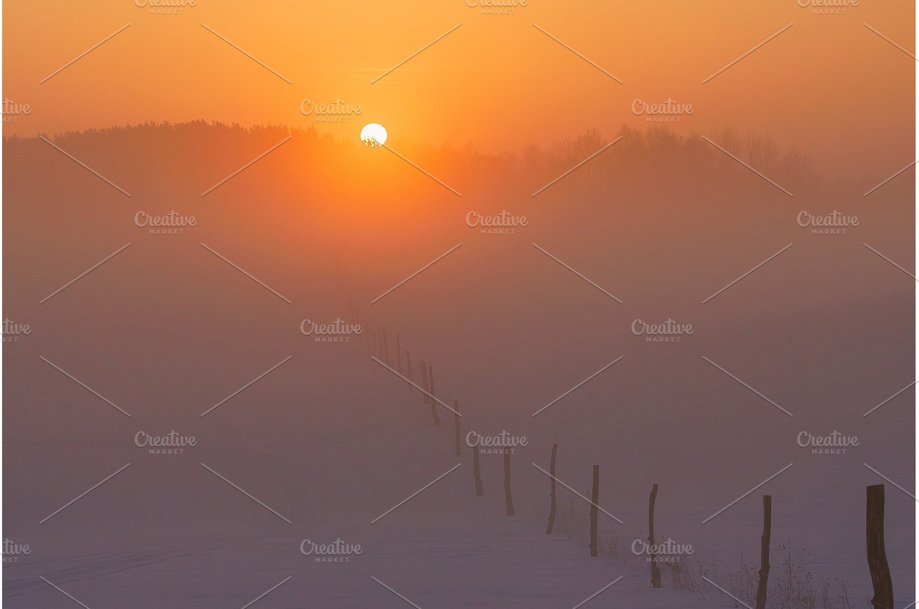 Cold winter in Europe .Misty sunny, a Nature Photo by Lukas Jonaitis SHOP