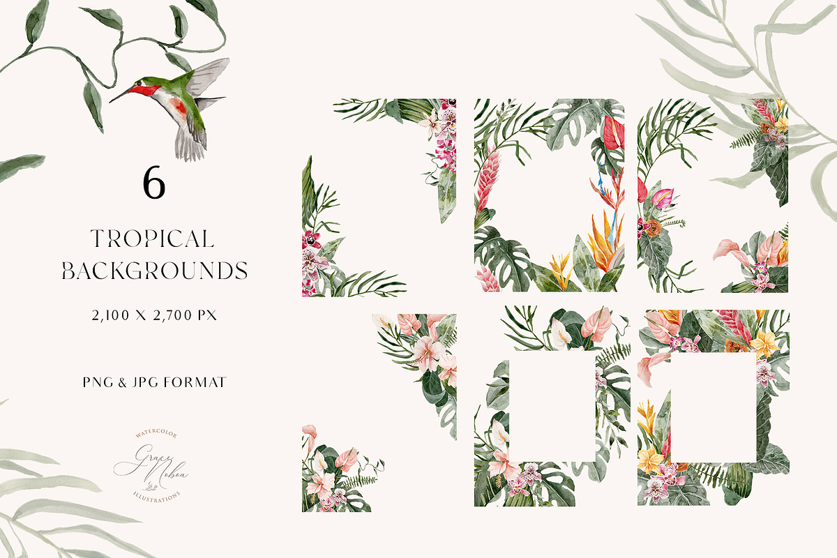 TROPICAL SUMMER- Exotic flora set, a Decorative Illustration by Grace Noboa Illustrations (Photo 3 of 10)