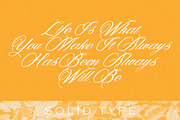 Denita Script, a Script Font by Solidtype (Thumbnail 4 of 7)