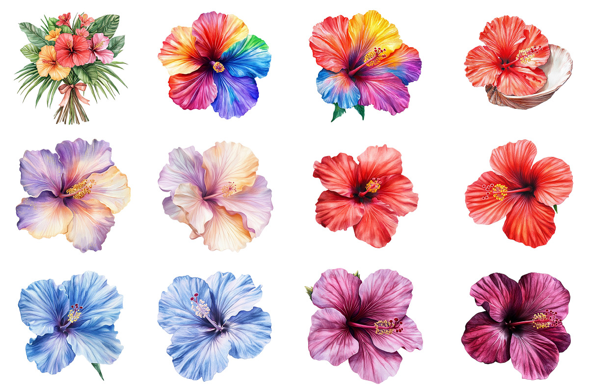 Watercolor Hibiscus Flowers Clipart, an Illustration by CitraGraphics (Photo 2 of 4)