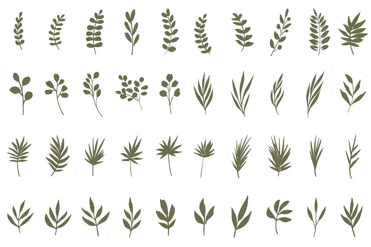 Hand drawn foliage, an Illustration by Wild Rose (Photo 2 of 6)