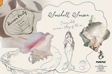Seashell Season – Coastal Pack, an Object Graphic by Purple