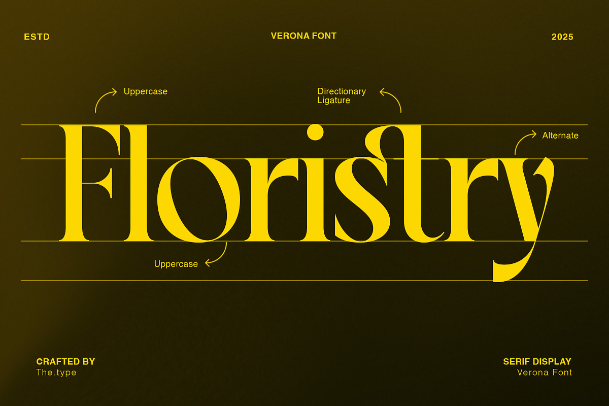 VERONA - Vintage Classic Serif, a Serif Font by The_Type (Photo 11 of 12)